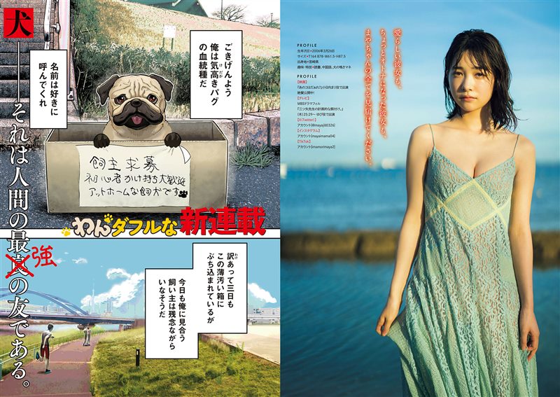 图片[3]-[Young Magazine] 2024 No.39 今森茉耶 ゆめぽて 中川心 [12P／9MB] - 呦糖社C+-呦糖社C+